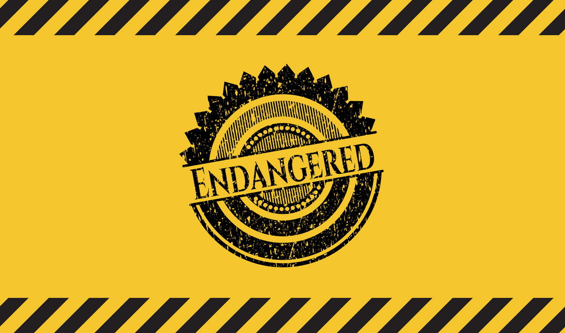 Grunge black stamp with 'ENDANGERED' text on a yellow caution striped background.