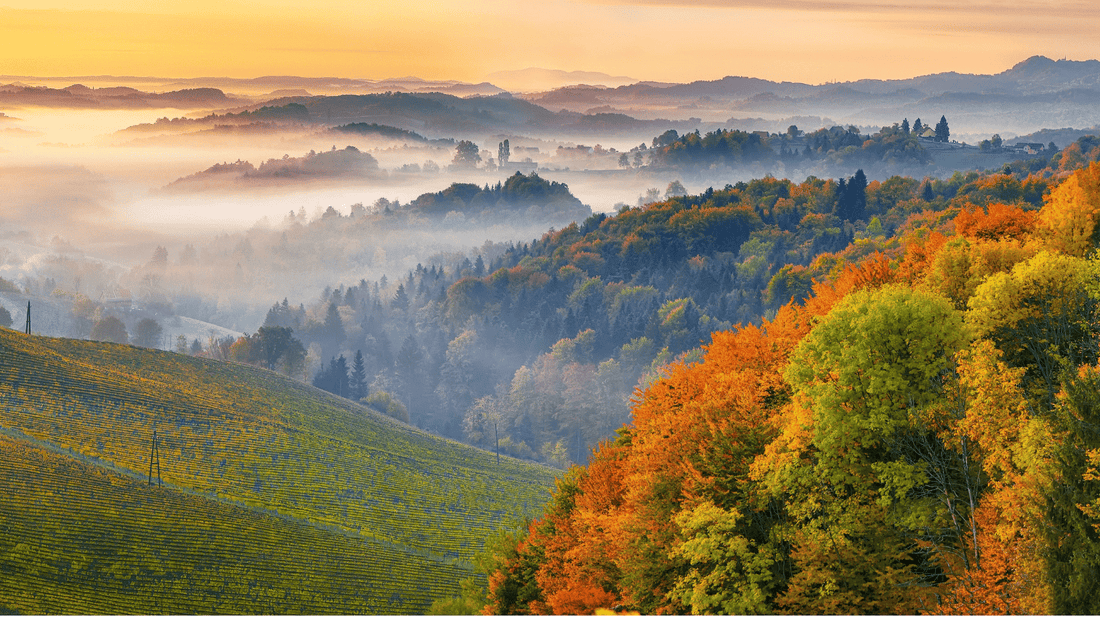 Misty autumn landscape with rolling hills, colorful fall foliage, and a golden sunrise.