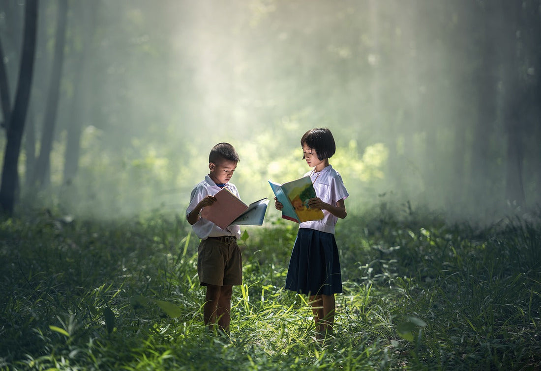 Two students in uniforms reading books together in a misty, sunlit forest.