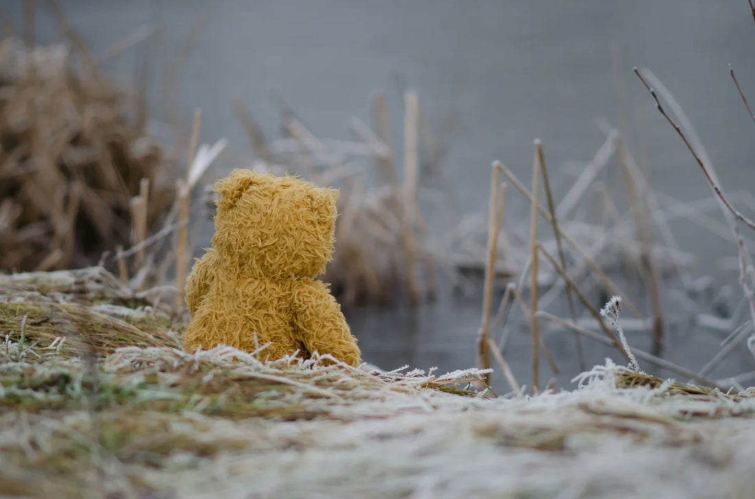 A small, fuzzy yellow teddy bear sitting on frosty ground facing a wintery landscape.